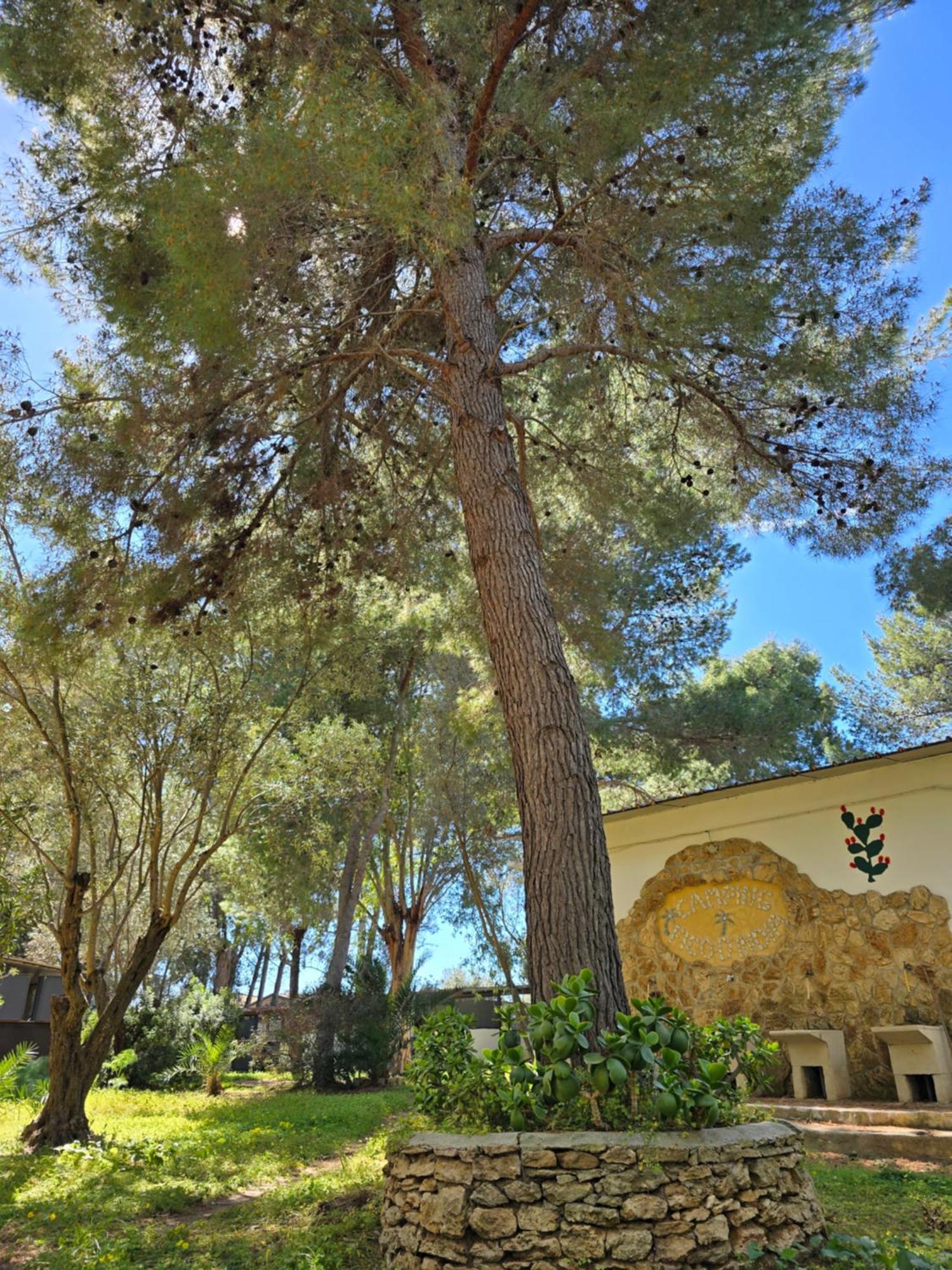 Village Camping Fico D'India Ovile la Marina المظهر الخارجي الصورة