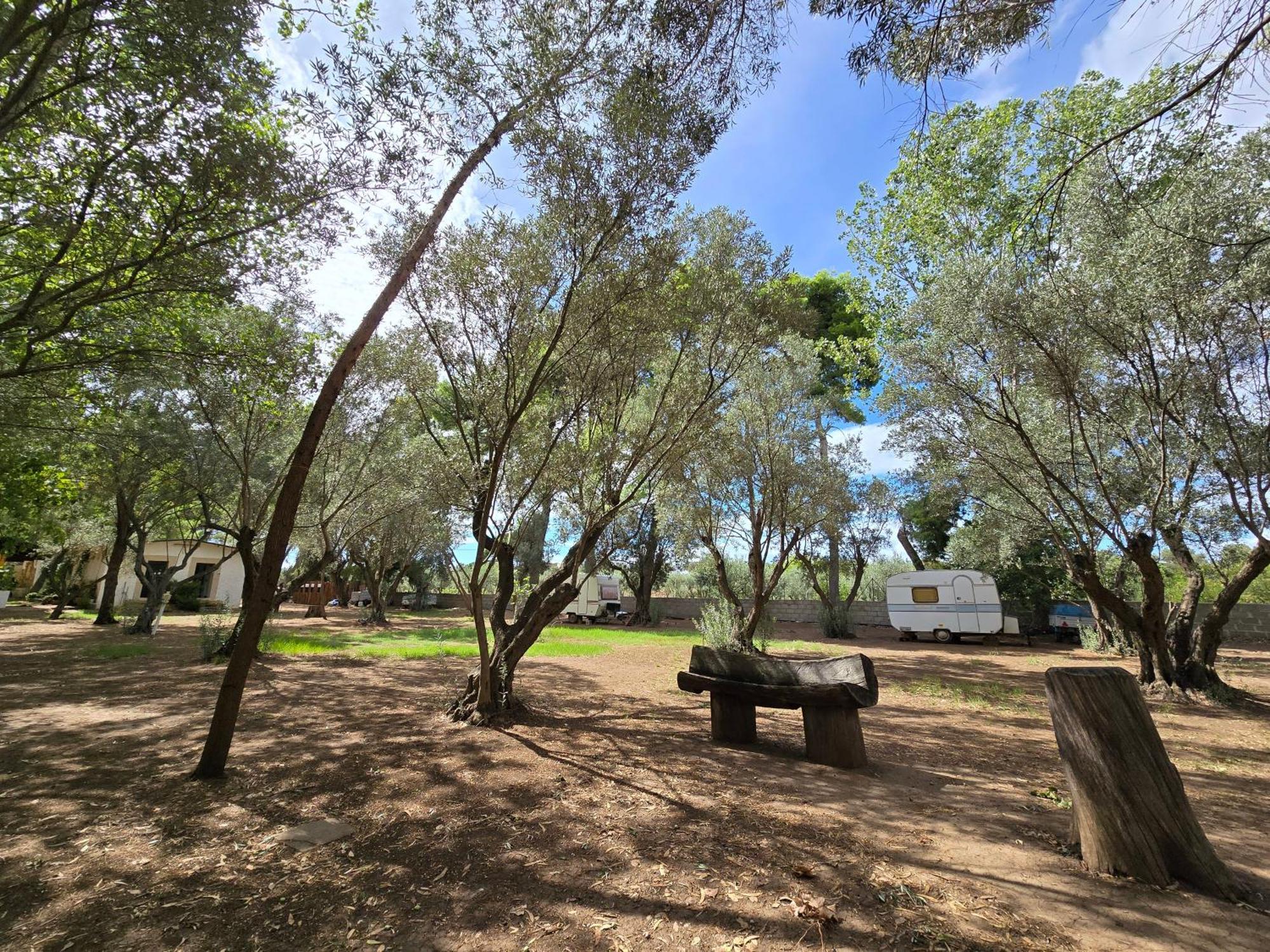 Village Camping Fico D'India Ovile la Marina المظهر الخارجي الصورة